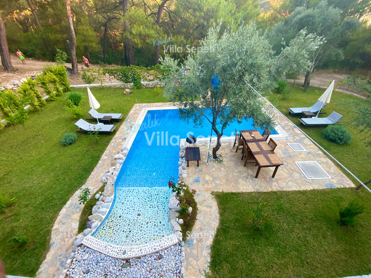 Villa Bayberry