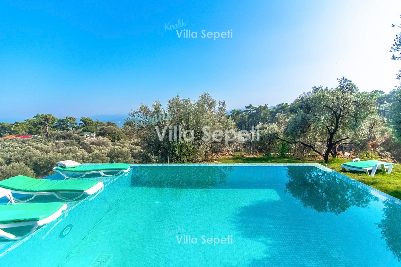Villa Olive