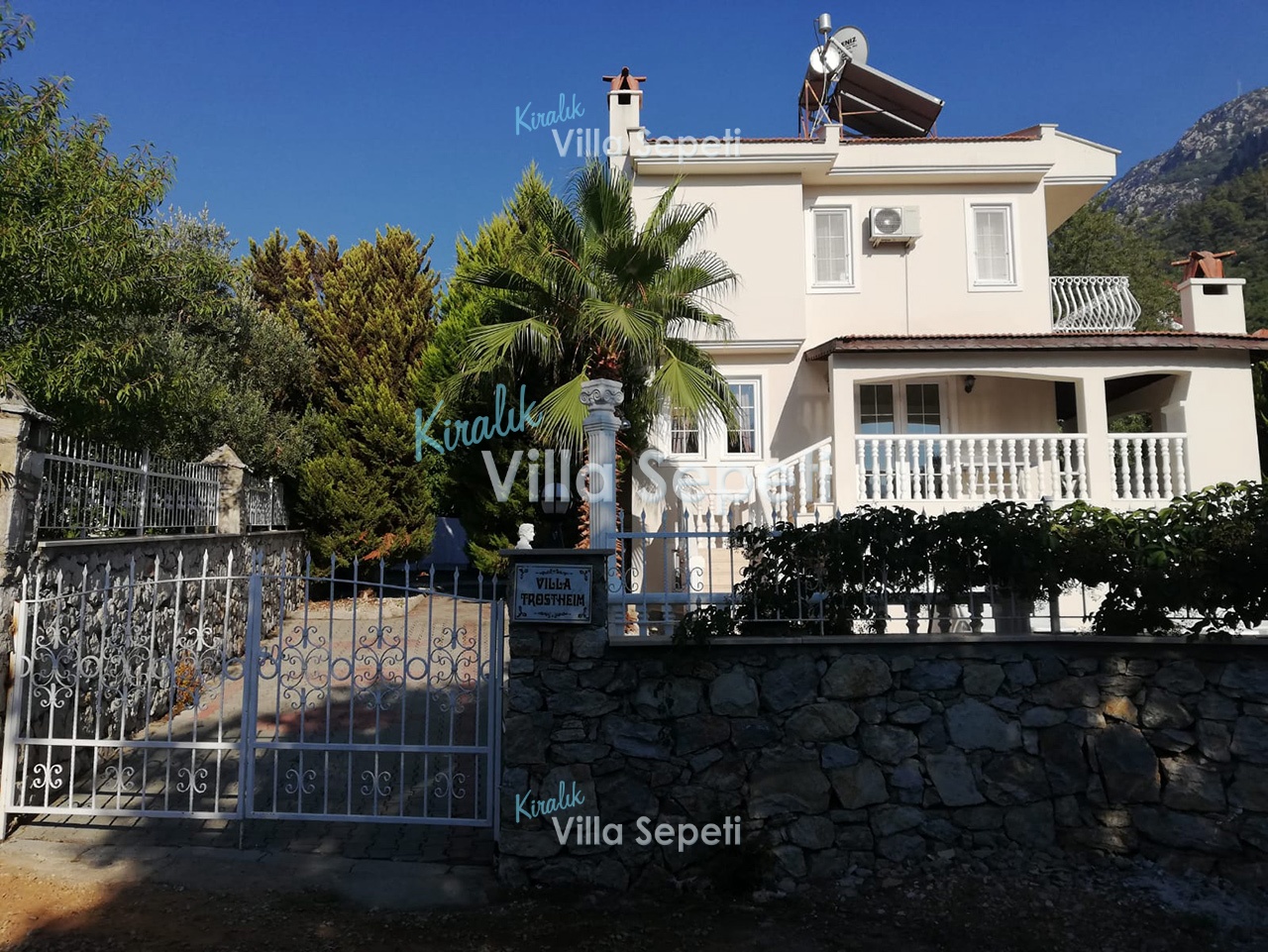 Villa Palm